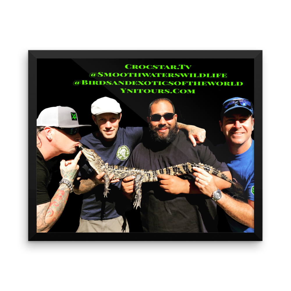 OG Crocstar Crew Framed Keepsake